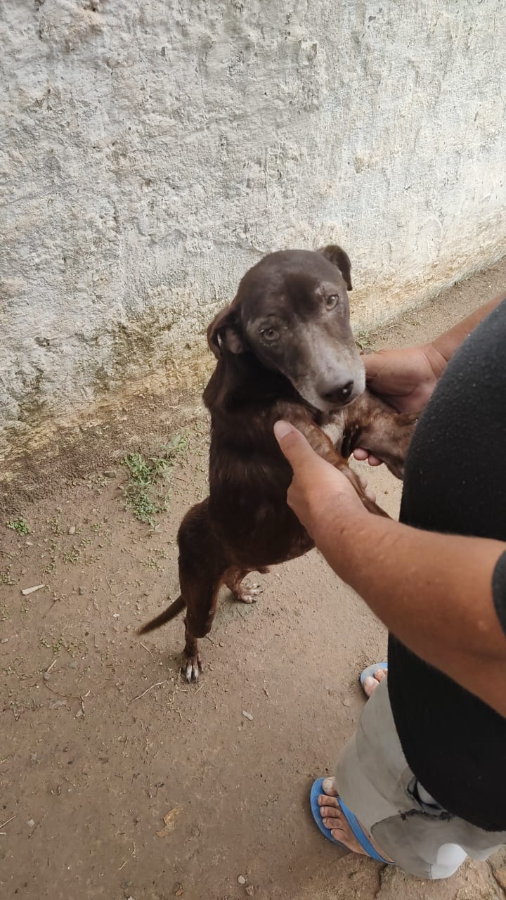 Rescate en Pasaje Asunción