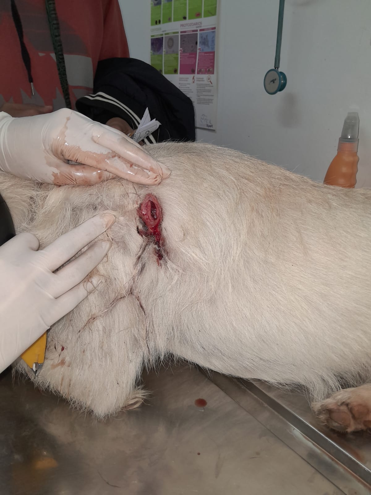 Intervención urgente en Puerto Vilelas