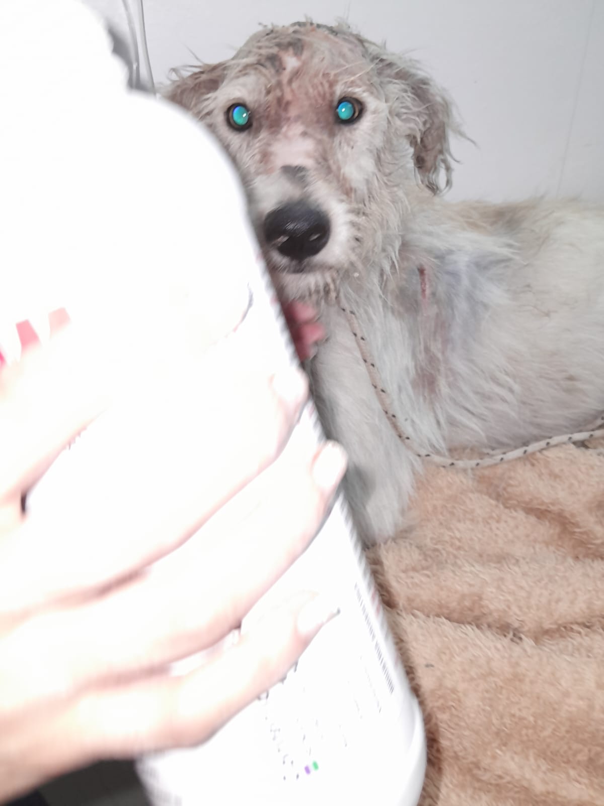 Seguimos acompañando su recuperación