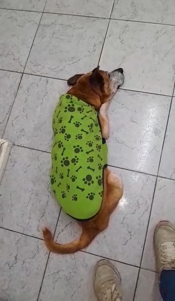 Nicki, merece algo mejor