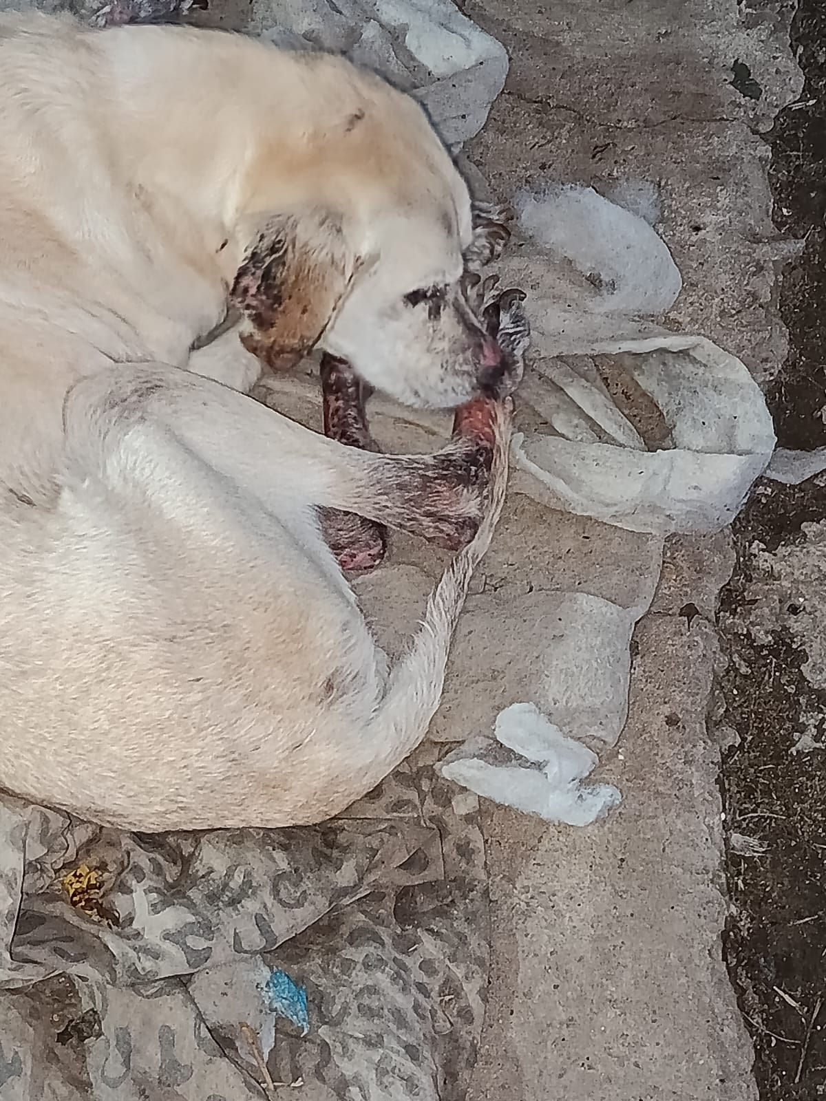 Nuevas atenciones en octubre