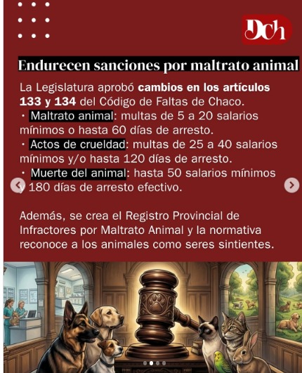 PENAS MÁS DURAS POR MALTRATO ANIMAL Y CREACIÓN DE UN REGISTRO DE MÉDICOS EN LA PROVINCIA |