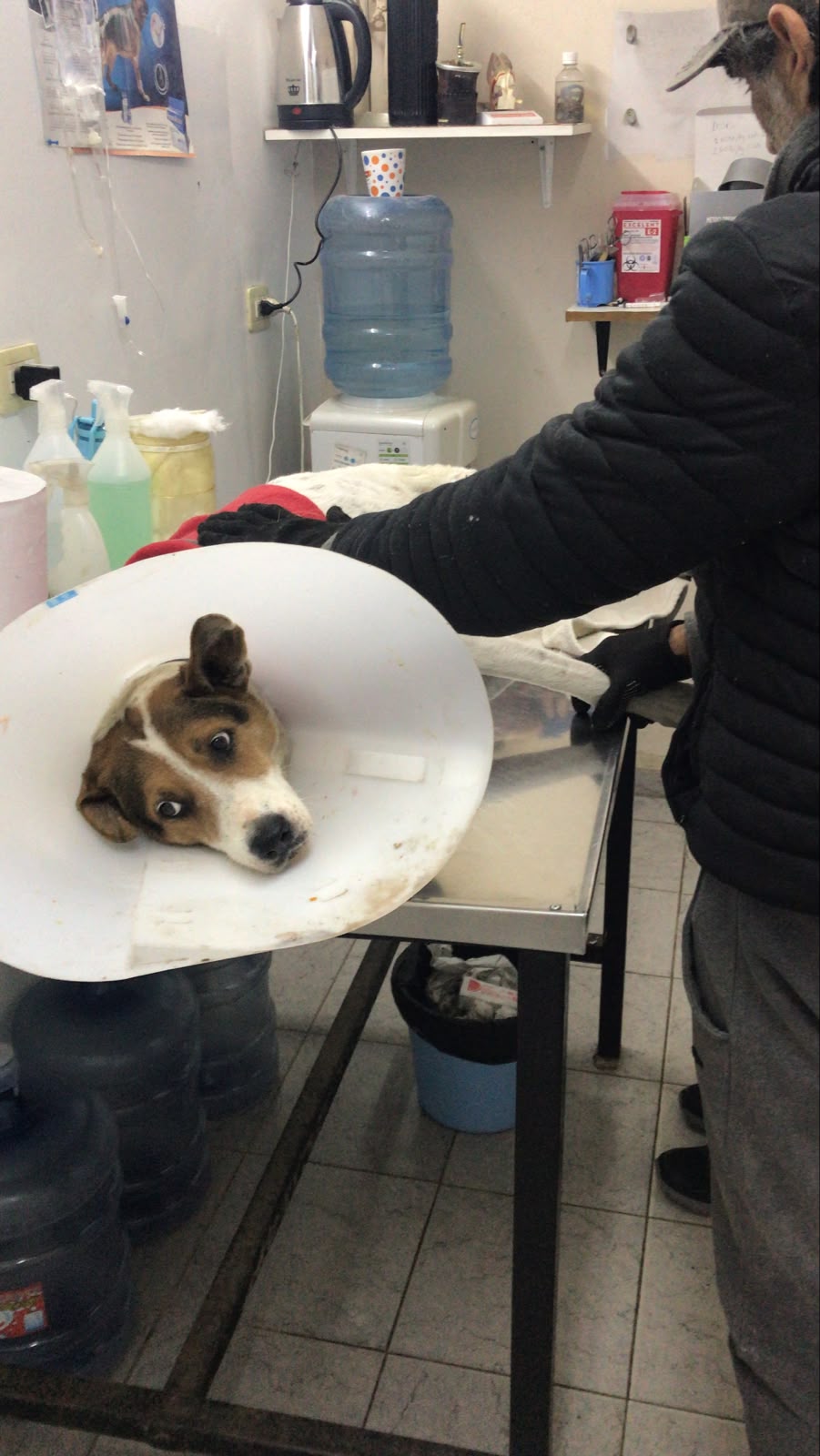 Nueva Asistencia de la Fundación (caso Pepe)