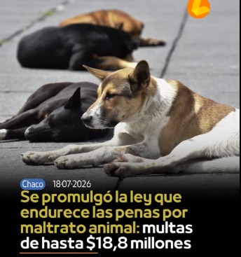 Ley - Maltrato Animal