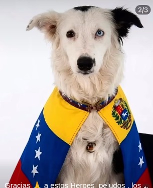 comunidad
